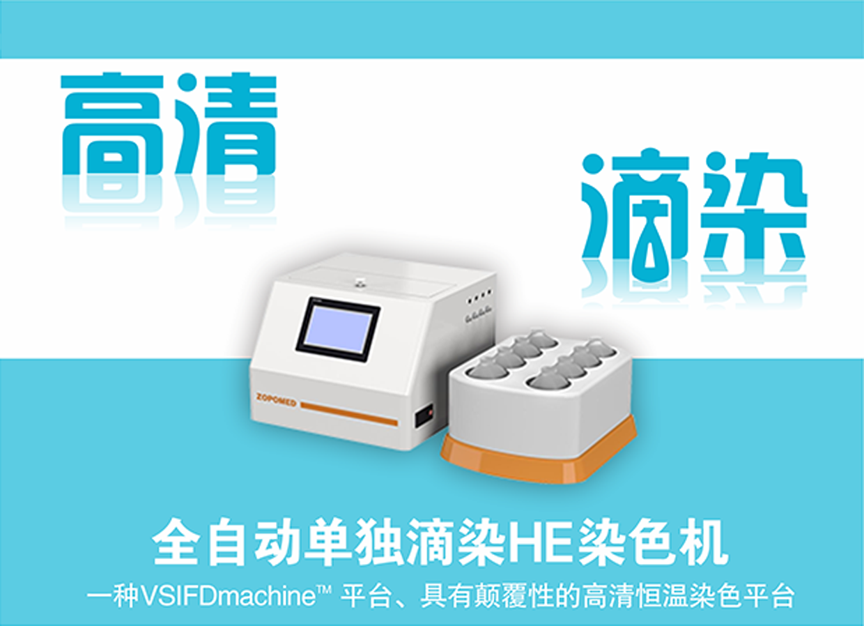 TGPAY - 安全便捷的数字支付解决规划