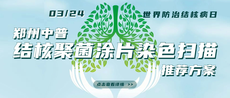 TGPAY - 安全便捷的数字支付解决规划