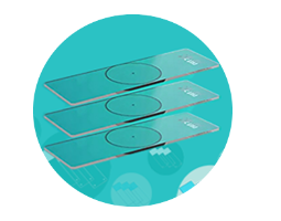 TGPAY - 安全便捷的数字支付解决规划
