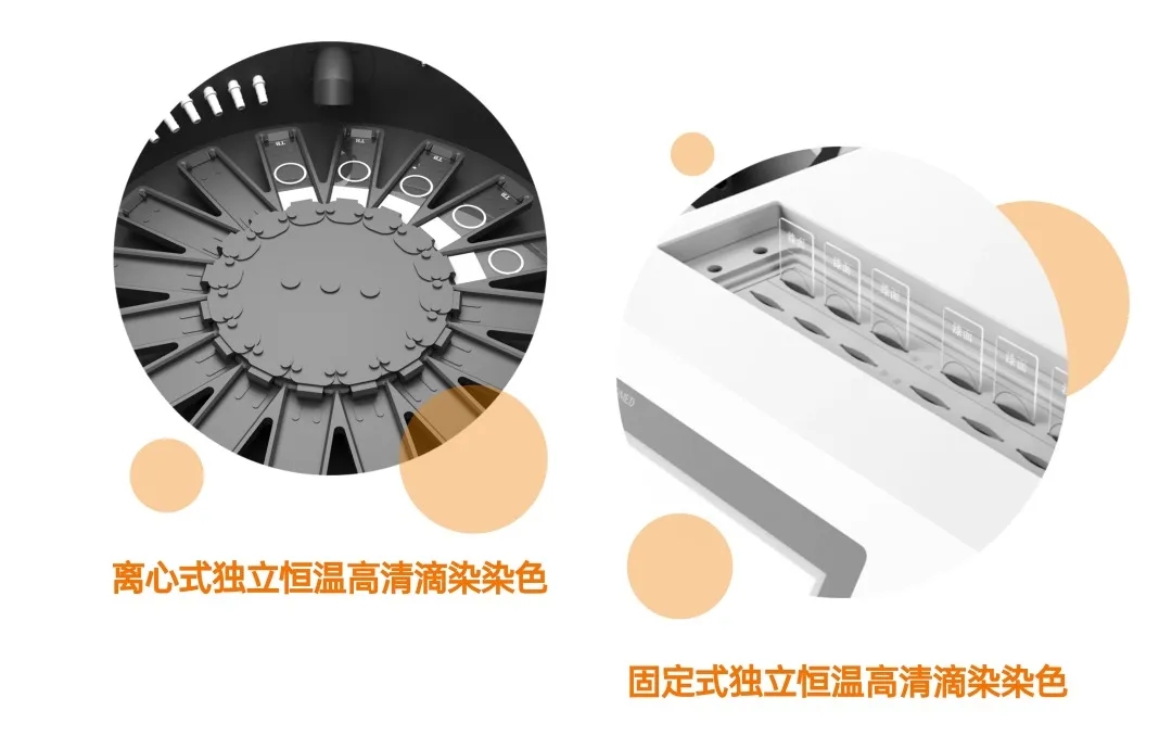 66135251797c6 TGPAY - 安全便捷的数字支付解决规划