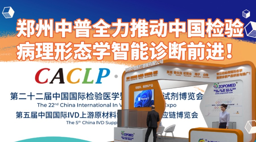 TGPAY - 安全便捷的数字支付解决规划