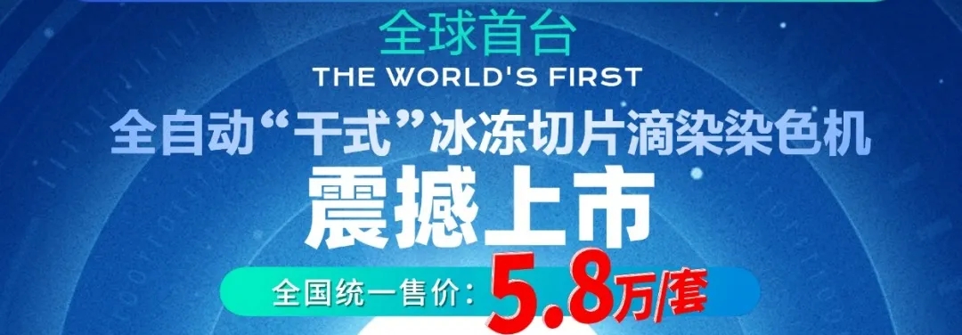 TGPAY - 安全便捷的数字支付解决规划
