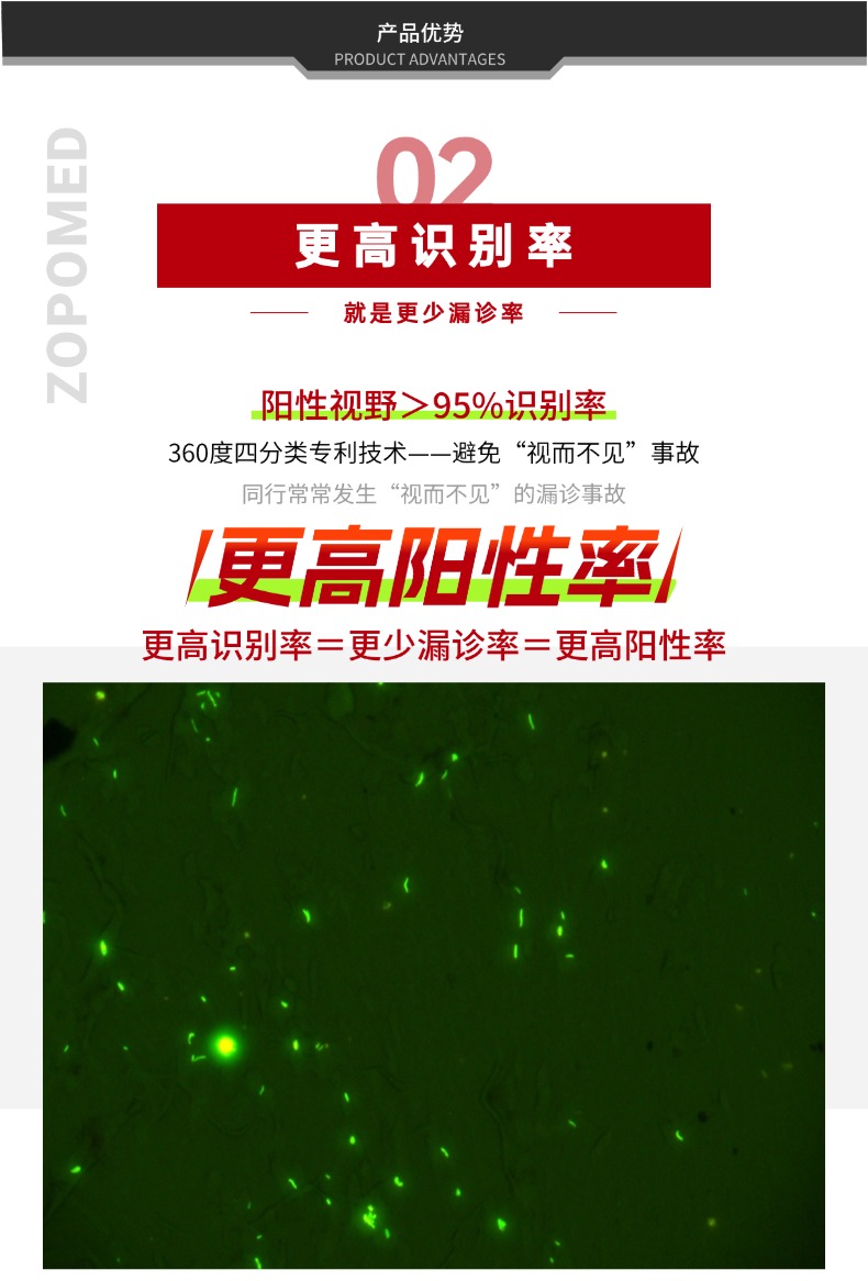TGPAY - 安全便捷的数字支付解决规划